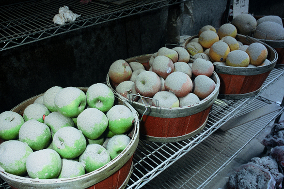 11 moving images from 9/11 submitted by people around the world | TED Blog