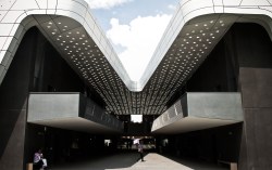 My City: Gabriella Gomez-Mont on life in “that beast of a city,” Mexico City