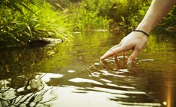 TED Radio Hour: Everything is Connected