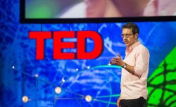 A walk on the wild side: 7 fascinating experiments in rewilding