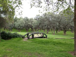 My City: sound artist Jason Sweeney on life in Adelaide