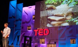 9 ways mushrooms could drastically improve the world
