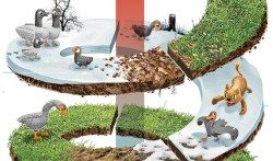 How to tell a great story, visualized