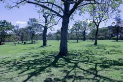 Sao Paulo in pictures:  Juliana Machado Ferreira picks her favorite places in the city