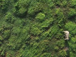 Bird’s-eye science: What we’re learning about the planet using aerial technology