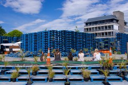 Christchurch in pictures: Life after a devastating earthquake