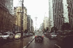 My City: The urban jungle of Sao Paulo, as seen by biologist Juliana Machado Ferreira