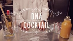Exclusive video: How to make a cocktail from strawberry DNA