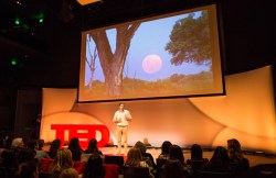 I am, because of you: Further reading on Ubuntu