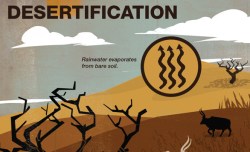 An infographic cheat sheet for key concepts in “The Grazing Revolution”