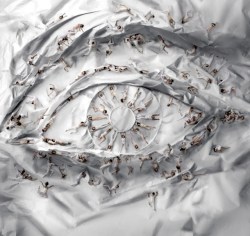 TED News in Brief: “What is TED?” a Final Jeopardy question, Taryn Simon photographs Bond Girls, and much more