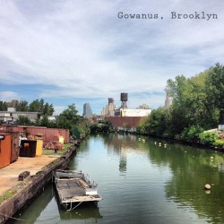 X Marks the Spot: A flashmob in Yemen, absurdist art in Kentucky and edible sugar sculptures in California