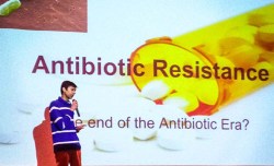 Antibiotic resistance and particle physics: Burlington High School’s TED-Ed Club blinds us with science
