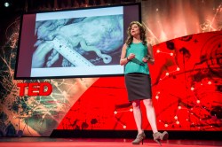 Kinky bonobos and the Magnum P.I. hypothesis: A Q&amp;A with Carin Bondar