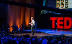 Questions you may have about Mary Lou Jepsen’s TED Talk