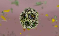 Tiny and beautiful worlds: Talking molecular animation with TED2014 Fellow Janet Iwasa