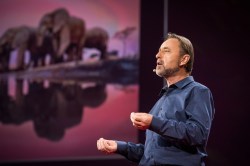 Celebrate the sacred cave: Frans Lanting at TED2014