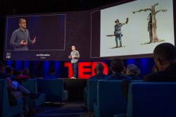 The strange story of the teddy bear: Jon Mooallem at TED2014