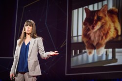 How to keep 240 million Twitter users safe: Del Harvey at TED2014