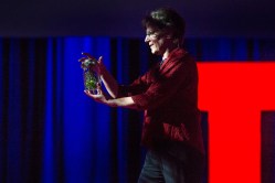 Lighting up the world of fireflies: Sara Lewis at TED2014