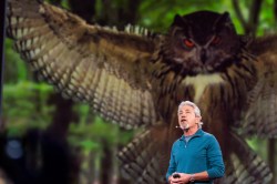 Mysteries of the unseen world: Louie Schwartzberg at TED2014