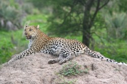 Explorer Steve Boyes takes us on an epic journey to save Africa’s last remaining wetland wilderness