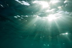 Obama pledges support for massive new Pacific Ocean “hope spots,” echoing a TED Prize wish