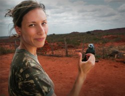 Freebird: Juliana Machado Ferreira leads the charge against Brazil’s illegal wildlife trade