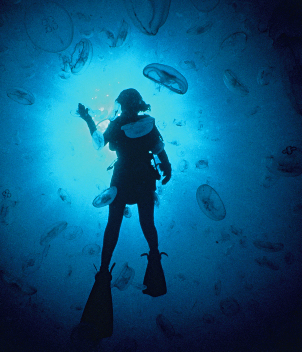 What’s it like to be a deep sea explorer? Highlights from a Q&A with
Sylvia Earle