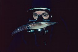 Feeling blue about the state of the ocean? How a TED Prize wish helped one woman create a sea change