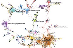 A network visualization that may help people in India get better eye care