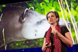Save the whales (and the humans too): A recap of TED Fellows Session 1 at TEDGlobal 2014