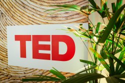 Reflections on TEDGlobal 2014, from the community