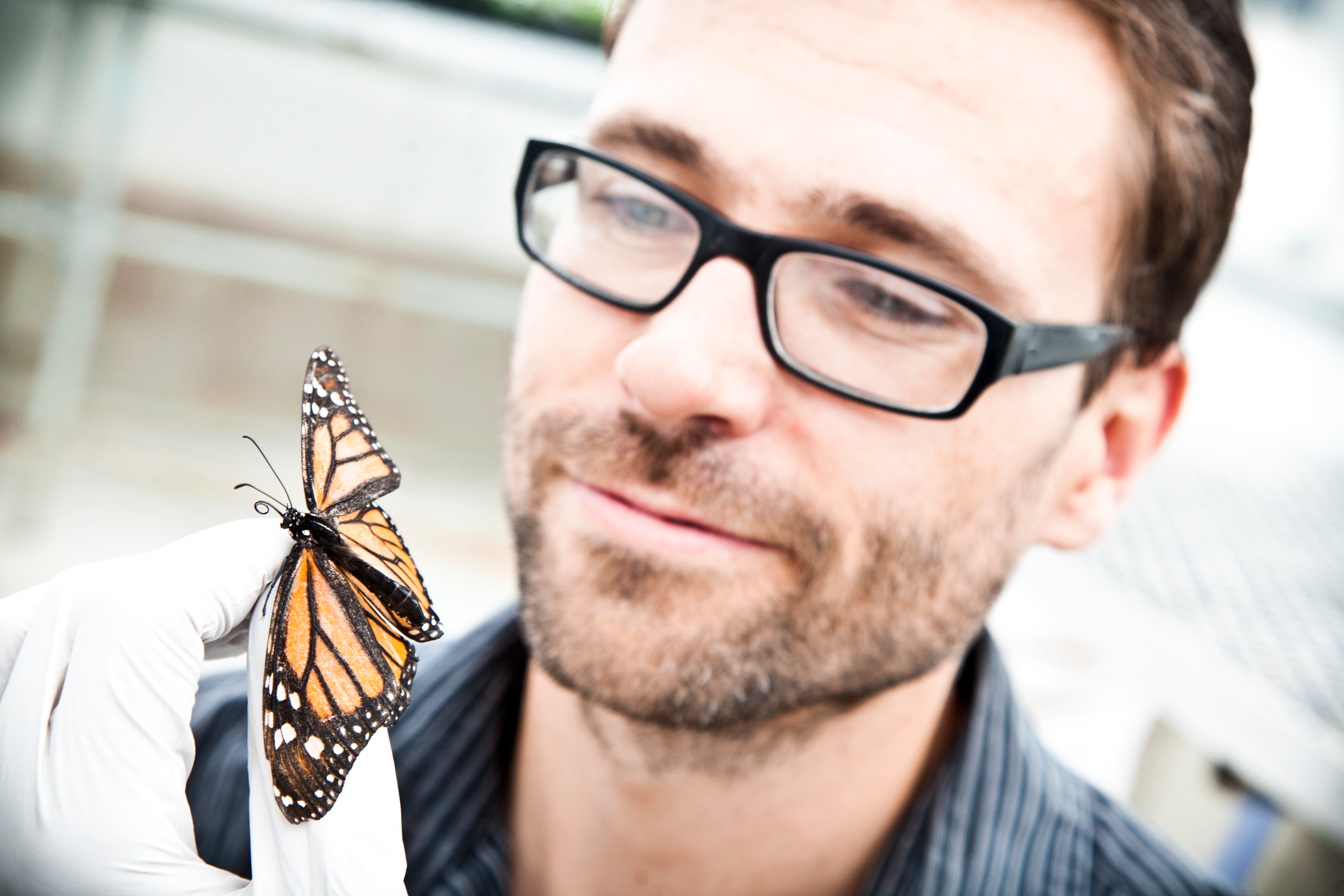 The other butterfly effect: A youth reporter finds out how monarchs
fight their own parasites