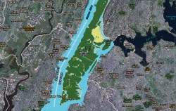 A wildlife conservationist talks to a teen reporter about the past and future of a lush, green NYC