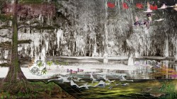 How mega-landscaping might reshape the world, according to one TED Fellow