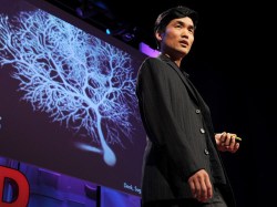 The continued quest to map the brain, TED Oscar connections and a frog joke from Wil Wheaton