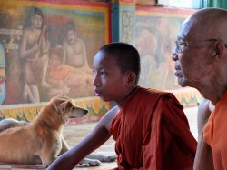 What is a “smart” syringe? By 2020, you’ll be getting all your shots with one