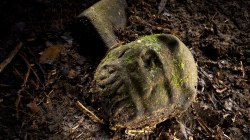 The jaguar stone in the City of the Monkey God: Mark Plotkin on the lost city his team just rediscovered