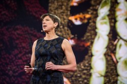 How genetic engineering can fight disease, reduce insecticide use and enhance food security: Pamela Ronald speaks at TED2015