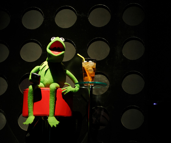 Sweet tea, friendly folks + Kermit the Frog: TEDx takes shape in the
South