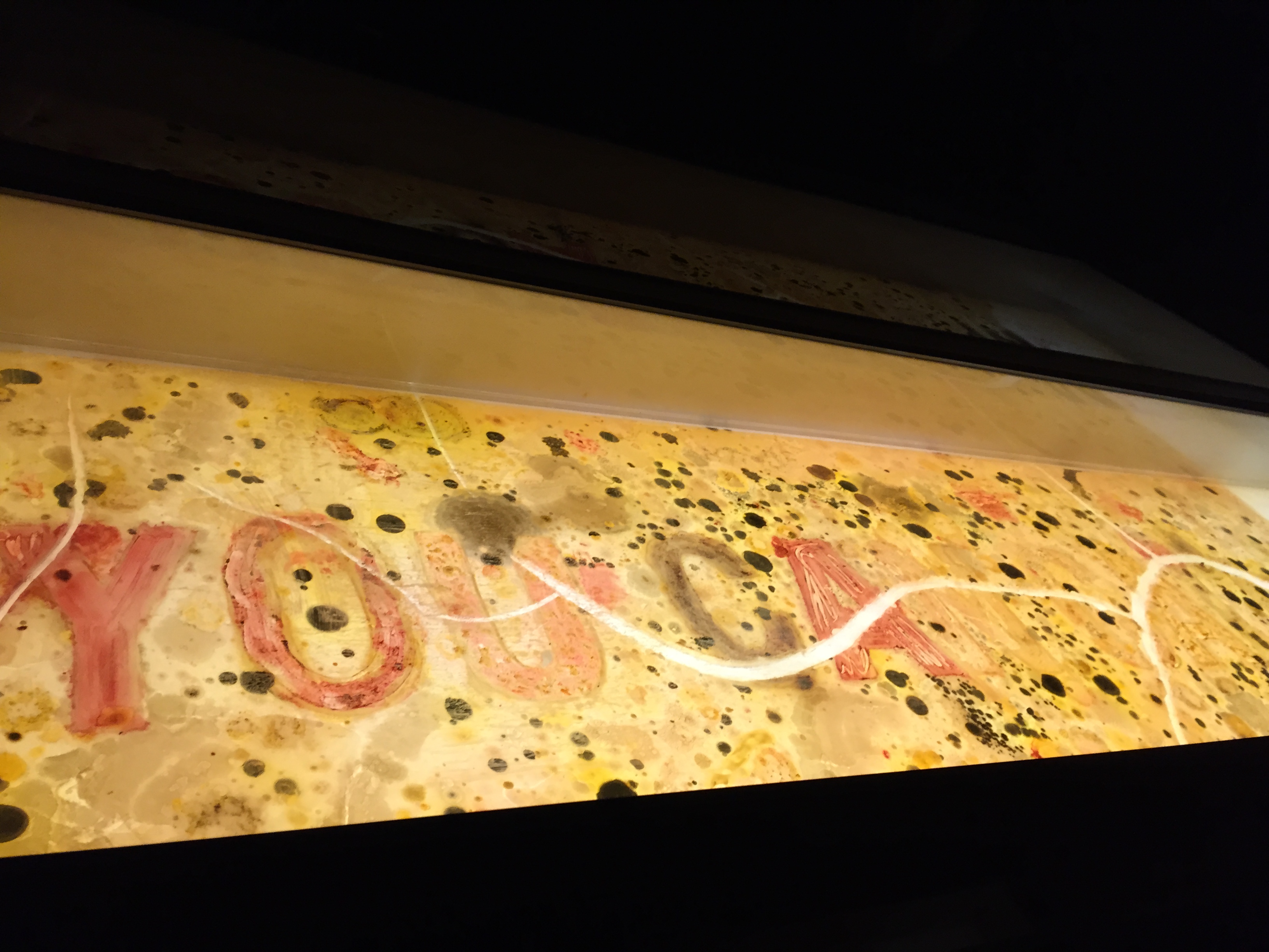 Tal Danino programs bacteria to detect cancer — and make art | TED Blog