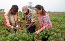 Avoiding the hunger season: How a TED Fellow is working to save African cassava from whiteflies