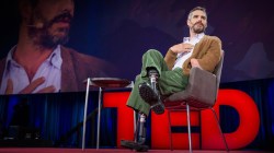 A  redesign for death, a monument hidden in plain sight and the intelligence of a bird brain