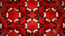 Amazing TEDx trailers from around the world