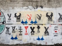 A gorgeous new digital book celebrates the TED Fellows