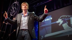 Wireless advances in treating spinal cord damage, morphing wings for aircraft, and the world’s tallest tropical trees