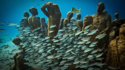 A new museum 14 meters under the sea, a dance that draws on fiction, and other news from TED speakers