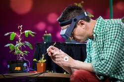 Storytellers and scientists: Notes from TED Fellows Session 2 at TED2017