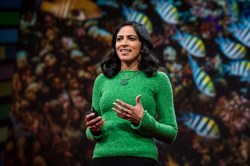 Harnessing the intelligence of the collective: Radhika Nagpal speaks at TED2017